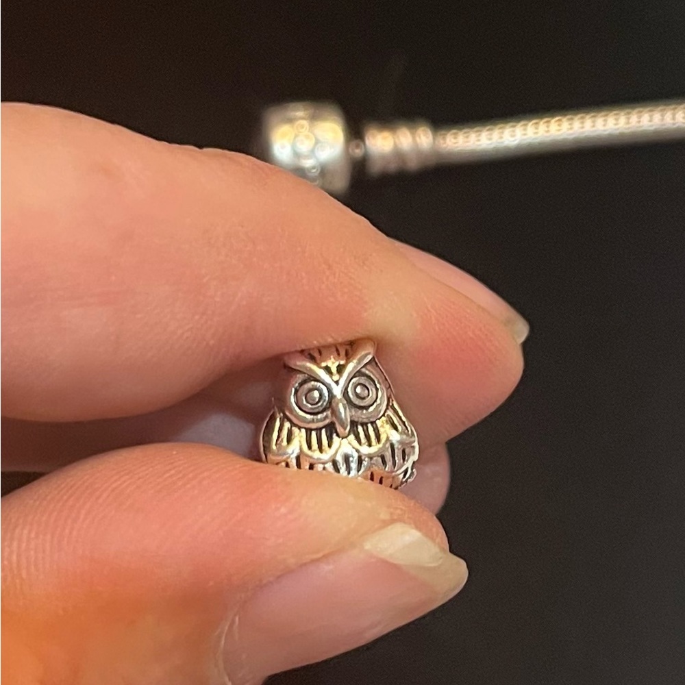 Charm for Charm Bracelet